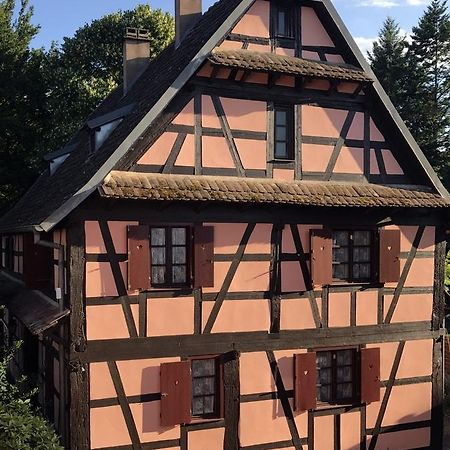 Maison Alsacienne Eschau المظهر الخارجي الصورة
