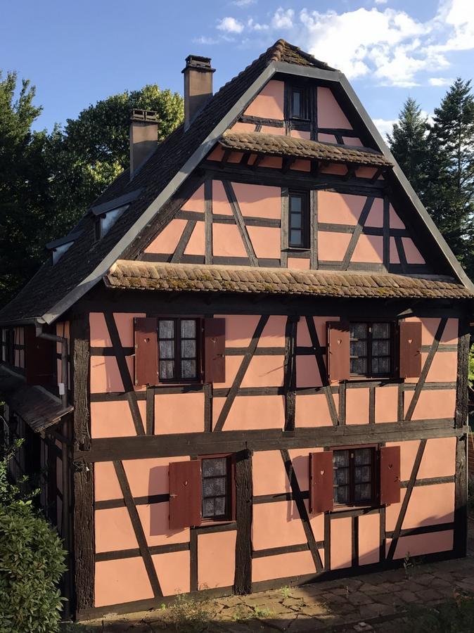 Maison Alsacienne Eschau المظهر الخارجي الصورة